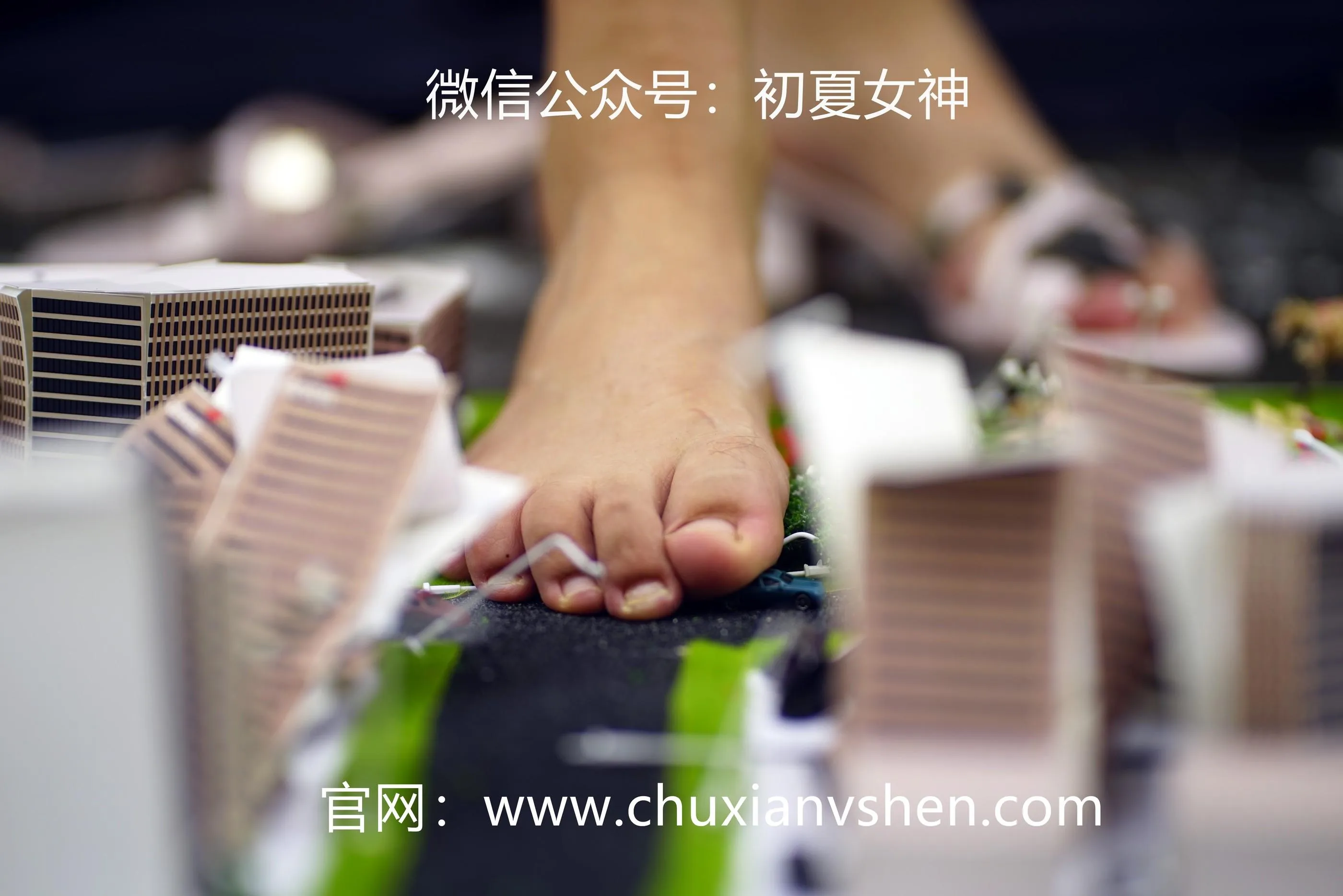 初夏女神 NO.036 点点 误入小人国 [110P]插图1